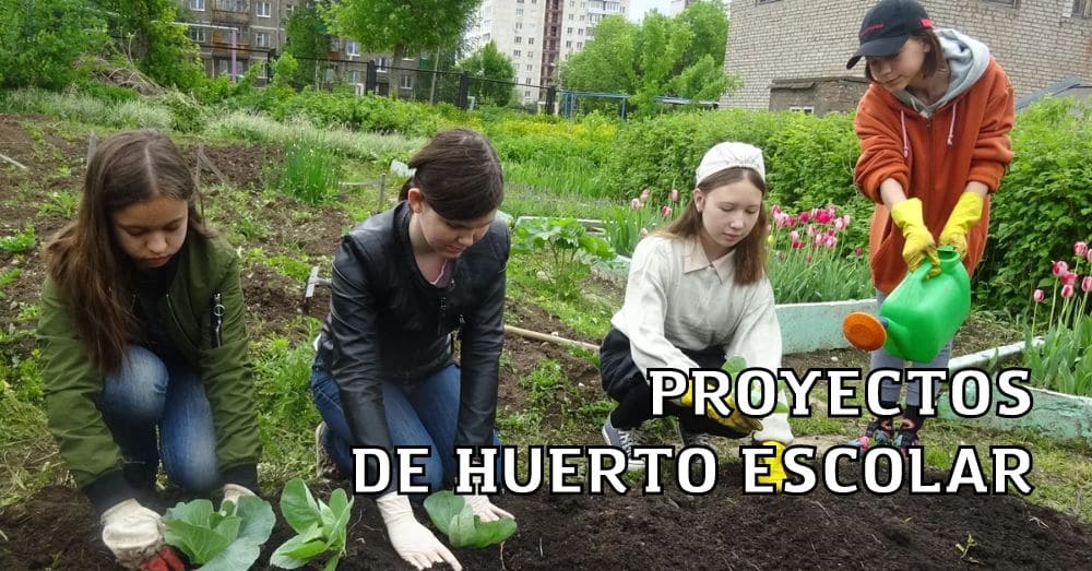 Proyectos De Huerto Escolar Importancia Y Ejemplos Proyectos Educativos 8400